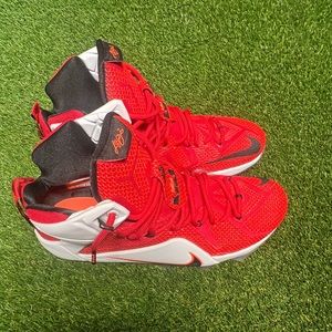 2014
LeBron 12 'Heart Of A Lion'